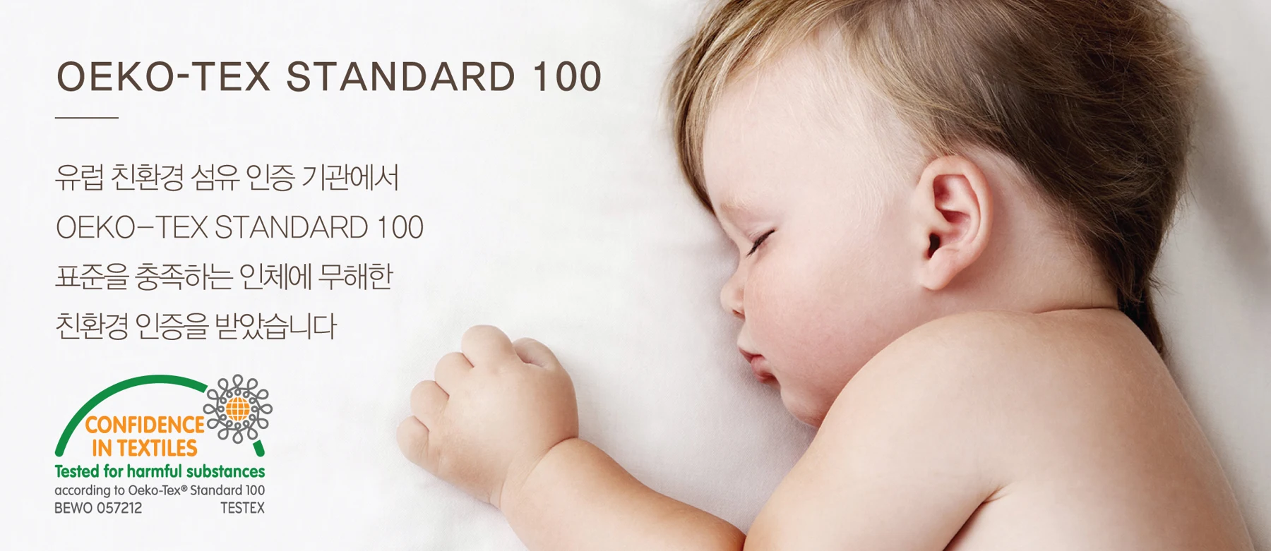 이스트맨 하우스 제공 자료 3